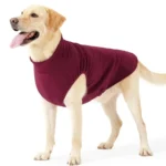 Cozy Solid Color Dog Sweater Soft Rug washing Lightweight Dog Clothes Stretchy Pullover Dog for Small Medium Large Dogs - Image 5