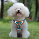 Pet Harness Vest Dogs Chest Strap Rope Reflective Dog Traction Rope Retractable for Small Dog Cat Traction Set Pet Accessories - Image 5