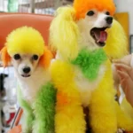 Pet Dye Agent Semi Permanent Pet Dye Cream Colorful Dog Hair Bright Coloring Dyestuff Dog Hair Agent Pigment Dog Dye Cream - Image 7