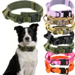 Tactical Dog Collar Adjustable Nylon Dog Supplies With Heavy Duty Metal Buckle Durable Training Collar For Medium And Large Dogs