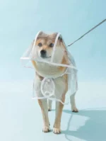 Dogs going out, transparent waterproof raincoat with hat pet raincoat - Image 5