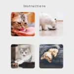 10 Pack Catnips Cat Toy Supplement Accessories Natural Catnips Powder Drive Your Cat Wild Catnips Treats for Training Y5GB - Image 3