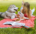 Portable Outdoor Pet Bowl: 2-in-1 Travel Dog Food/Water Dish with Treat Compartment for Hiking, Camping, and On-the-Go Feeding - Image 4