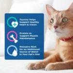 Seafood and Poultry Favorites Wet Cat Food Variety pack, 5.5 oz. Cans Pack of 24 - Image 5