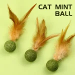 Pet Catnip Toys Edible Catnip Ball Safety Healthy Cat Mint Cats Home Chasing Game Toy Products Clean Teeth Cat Mint Ball - Image 2