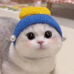 Cute Cat Hat Scarf Set Funny Pet Party Cosplay Headwear Delicate Hemming Pendant Decor Elasticity Knitted Hat Scarf Pet Supplies - Image 4