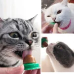 5/10Pcs Catnip Wall Ball Cat Nip Treats Lickable Pet Catnip Cat Snacks Candy Ball for Help Digestion - Image 4
