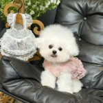 Lace Mesh Pet Dress Summer Princess Style Dog Clothes Maltese Breathable Suspender Sweet Little Dog Skirt - Image 2