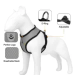 Escape Proof Cat Dog Harness with Lead Leash Adjustable Vest Breathable Reflective Chest Strap for Small Cats Puppy Accessories - Image 4