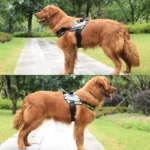 KOMMILIFE Adjustable Nylon Dog Harness Personalized Harness For Dogs Reflective Breathable Neck Guard Dog Harness Vest No Pull - Image 6