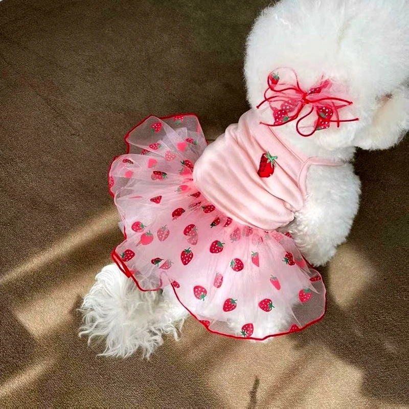 kf-S8acaaaa393f441ce85c92ab8b3e64a63n Summer Strawberry Dress for Dog Pet Clothing Dog Suspender Skirt Dog Clothes Cats Puppy Print Cute Dog Mesh Dress Pet Supplies - Image 1