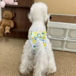 Reusable and Adjustable Dog Diaper Pants - High-Quality Breathable Mesh Menstrual Pants, Suitable for Indoor and Outdoor Use, Stylish Lemon Leaf Pattern Design, Comfortable Pet Clothing, Available in Two Colors - Image 2