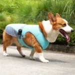 Cooling Vest - Breathable Dog Vest for Hot Summer Days - Adjustable & Lightweight Cooling Jacket with Reflective Strips - Image 4