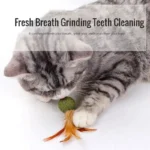 Pet Catnip Toys Cat Mint Ball Edible Catnip Ball Mouse Safety Healthy Cat Mint Cats Home Chasing Game Toy Product Clean Teeth - Image 4