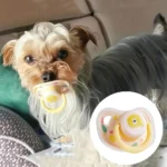 Practical Pet Calming Pacifier Soft Silicone Dog Teeth Chew Resistant Molar Cat Bite Toy Toy - Image 3