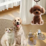 Transparent Dog Hair Storage Container Adorable Pet Keepsake Capsule Pendant With Key Ring for Pet Lovers DIY Memorial Keychain - Image 5