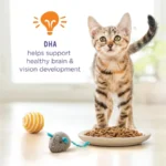 Purina Kitten Chow Healthy Development with Real Salmon Cat Food, 14 lb Bag - Image 4