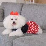 CuteBone Dog Mesh Dress Puppy Sundress Pet Outfit Summer Fashion for Small Dogs Girl Dog Dress Fashion Pet Clothes - Image 5
