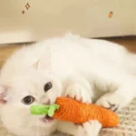 Fun Cat Teething Stick Sound Carrot Cuddle Toy Anti-Bite Scratch Board Pet Supplies for Interactive Entertainment - Image 4