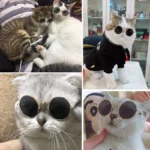 Lovely Vintage Round Pet Sunglasses Reflection Eye wear glasses For Small Dog Cat Animal Photos Props Accessories - Image 3