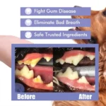 Pet Dental Spray Reduces Plaque & Tartar Buildup Dog Cleaning Bad Freshener Breath Teeth Mint Spray Oral 30ml Care Flavor - Image 5