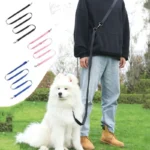 2.5cm Nylon Hand Free Dogs Leash Walking Training Lead Police Style Control Dog Lead Leash Small Dog Chain Safety Pet Leashes