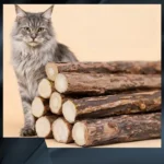 Kitten Supplies Natural Herbal Cat Chews Natural Grass Chew Sticks for Cats Chat Accessories Cat Oral Cleaning Stick Catnip Toys - Image 2