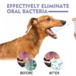 Pet Dental Spray Reduces Plaque & Tartar Buildup Dog Cleaning Bad Freshener Breath Teeth Mint Spray Oral 30ml Care Flavor - Image 3