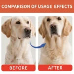80g Bacon Flavored Pet Mushroom Powder For Healthy Intestinal Digestion Pet Care For Cats And Dog Daily Nutrition - Image 6