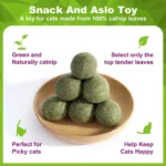 Catnip Balls Kitten Cat Nip Ball Licker Toy Natural Catnip Ball for Cats of All Breeds,Cat Lick Ball Toys That Fascinate Cats - Image 2