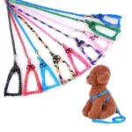 Small Dog Leash Puppy Leashes Teddy Pet Leash and Harness Set Cute Lead Rope Set Cat Kitten Leash Pet Things Decoration