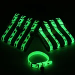 Luminous Cat Necklace Glowing Small Dog Cat Collar Anti-Loss Fluorescent Silicone Cat Bell Collar Neck Ring Pet Cat Accessories - Image 3