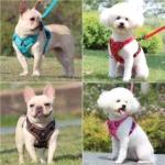 Harness and Leash Set Pet Accessories Dog Harness For Small Dog French Bulldog Pug Pitbull Puppy Pectoral Collar Chiens Supplies - Image 2