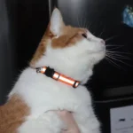 Cartoon Cat Head Reflective Pet Collar Colorful Bell Adjustable Safety Neck Strap Fashion Pet Collar For Kitten Puppy Small Dog - Image 5