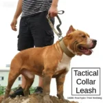Tactical Dog Collar Heavy Duty Nylon Adjustable Quick Release Buckle with Control Handle for Medium Large Dogs Control Handle