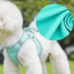 Outdoor Walking Harness and Leash Set for Small to Medium-Sized Dogs, Chihuahua, Mascotas, Harness Vest, Pomeranian Accessories - Image 5