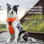 No Pull Dog Harness Pet Reflective Nylon Adjustable Medium Large Naughty Dog Vest Safety Vehicular Lead Walking Running - Image 5