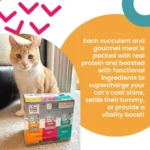 "" Feed Meow Wet Cat Food, Tummy Formula with Tuna and Pumpkin, 3oz Pouches, 12 Pack - Image 3