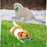 Tough Natural Rubber Dog Chew Toy Indestructible Squeaky Ball for Aggressive Chewers Beef Flavor Hexagonal Design Dental Health - Image 5