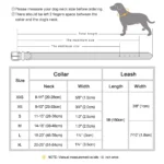 Real Leather Dog Collar Leash Set Personalized Pet Collar With Leash Free Engraving Nameplate For Small Medium Large Dogs - Image 6