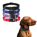 Nylon Webbing Dog Collar Heavy Duty Clip Buckle Pet Collar for Small Medium Dogs Chihuahua Dog Red Black Blue Purple 20 - Image 3