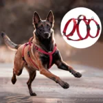 Escape-Proof Nylon Dog Harness with Handle Adjustable No-Pull Pet Harness for Medium Large Dogs Golden Retriever Husky Supplies
