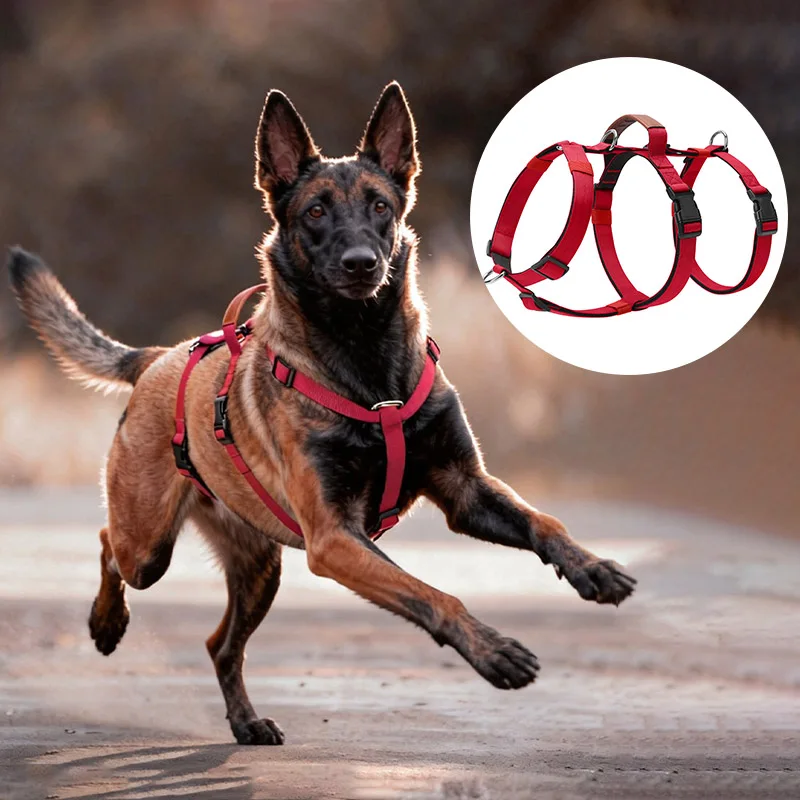 kf-S997f6312c76a4c73a70a331e68e3be7cW Escape-Proof Nylon Dog Harness with Handle Adjustable No-Pull Pet Harness for Medium Large Dogs Golden Retriever Husky Supplies - Image 1