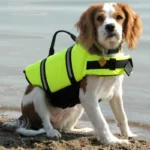 Dogs Safe Vest Life Jacket Summer Clothes Puppy Sleveless Pet Supplies Swimsuit Large Dogs Costume Clothing Adjustable Swimwear - Image 4