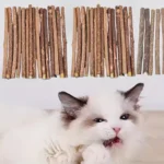 10Pcs/15Pcs/20Pcs Cat-Snack Polygonum Natural Polygonum Stick Molar Stick Thin Rod Polygonum Pet Supple