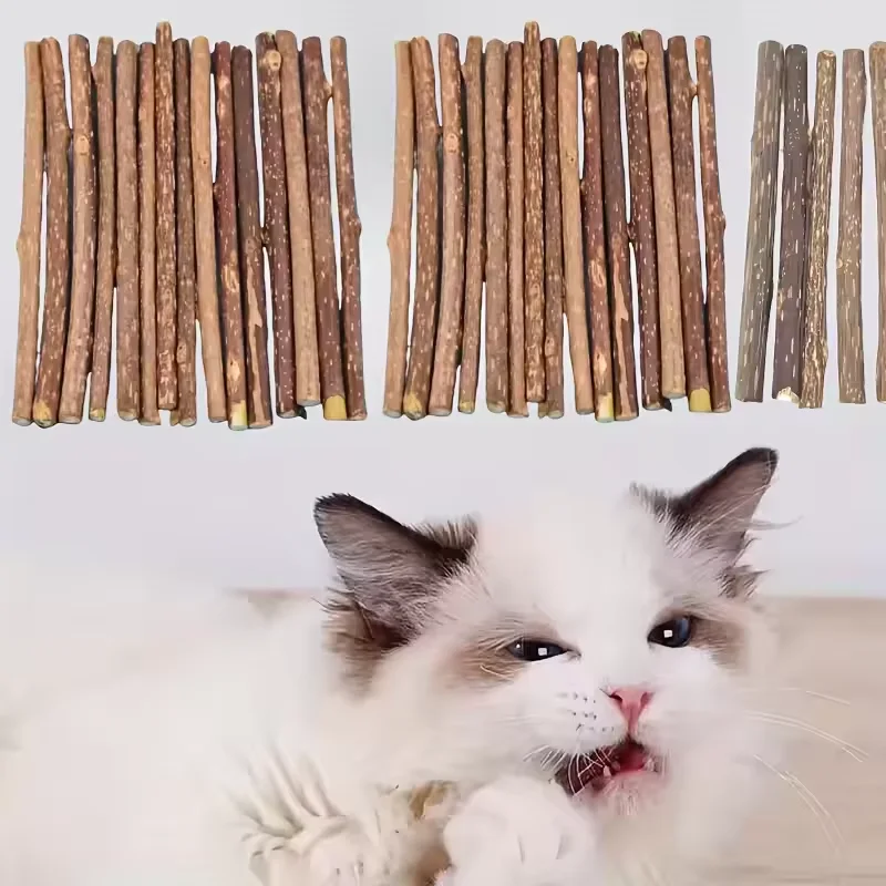 kf-S9aad30a4d5ae41ec8aef848e241a9ef7y 10Pcs/15Pcs/20Pcs Cat-Snack Polygonum Natural Polygonum Stick Molar Stick Thin Rod Polygonum Pet Supple - Image 1