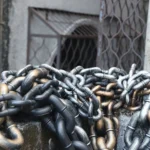 Sensationally Funny Pet Lead Puppy Cat Leash Big Plastic Simulated Iron Chain for Dogs Daily Walks Doggies Halloween Accessories - Image 4