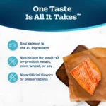Tastefuls Dry Food, Adult Indoor Cat, Salmon and Brown Rice, 5-lb. Bag - Image 6