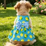 Dog Princess Dress Summer Kitten Pet Skirt Blue Lemon Bow Lace Dog Dresses for Small Medium Puppies Poodle Chihuahua Apparel - Image 3