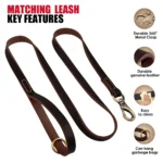 Real Leather Dog Collar Leash Set Personalized Pet Collar With Leash Free Engraving Nameplate For Small Medium Large Dogs - Image 4